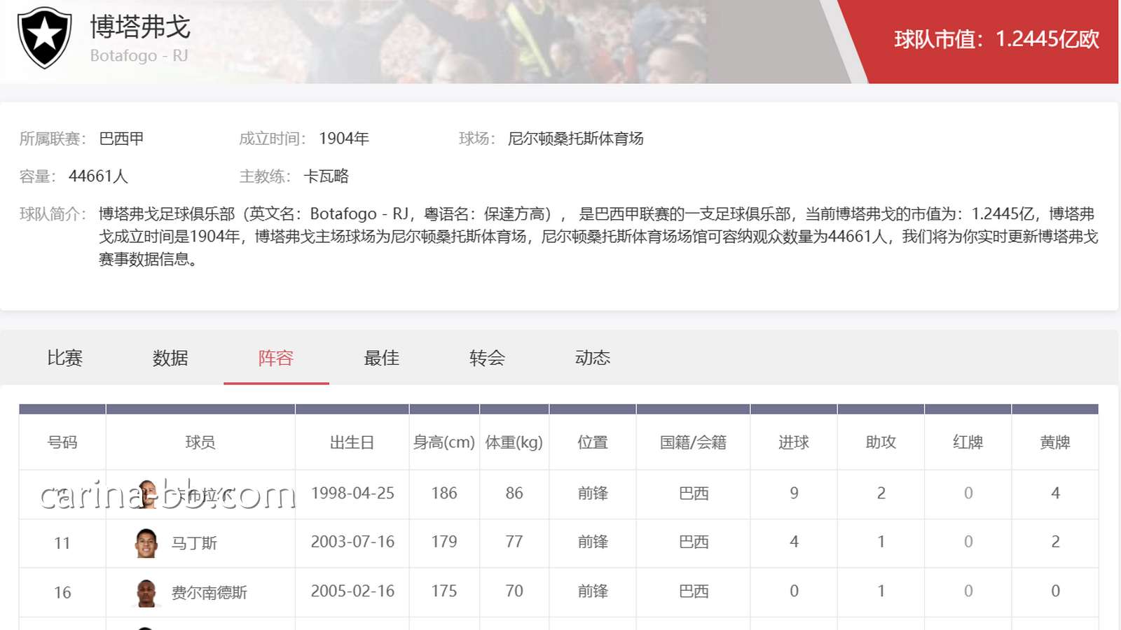 皇冠平台巴西甲投注攻略：博塔弗戈足球俱乐部深度分析
