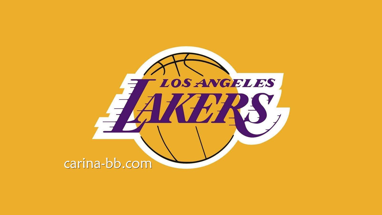 皇冠信用网NBA投注指南：洛杉矶湖人深度解析与实战技巧